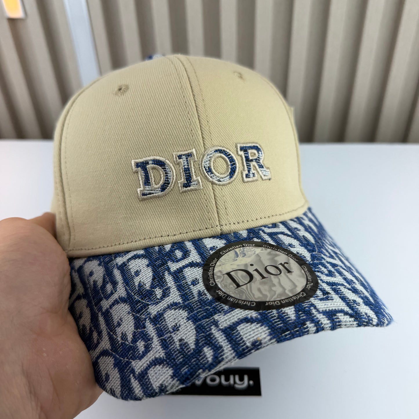 CASQUETTE DIOR HAUTE QUALITÉ D173